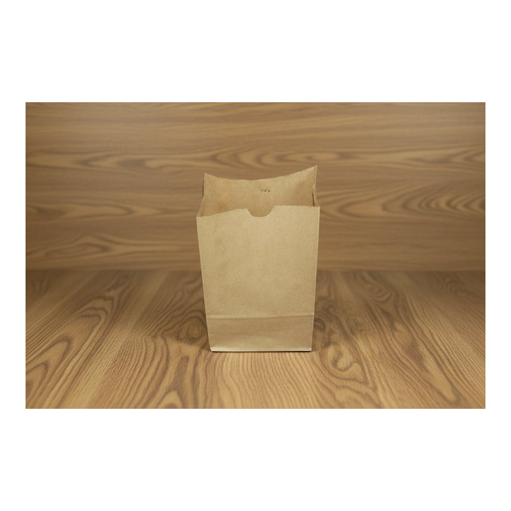 Brown Bag So2 (100X60X195)(500)