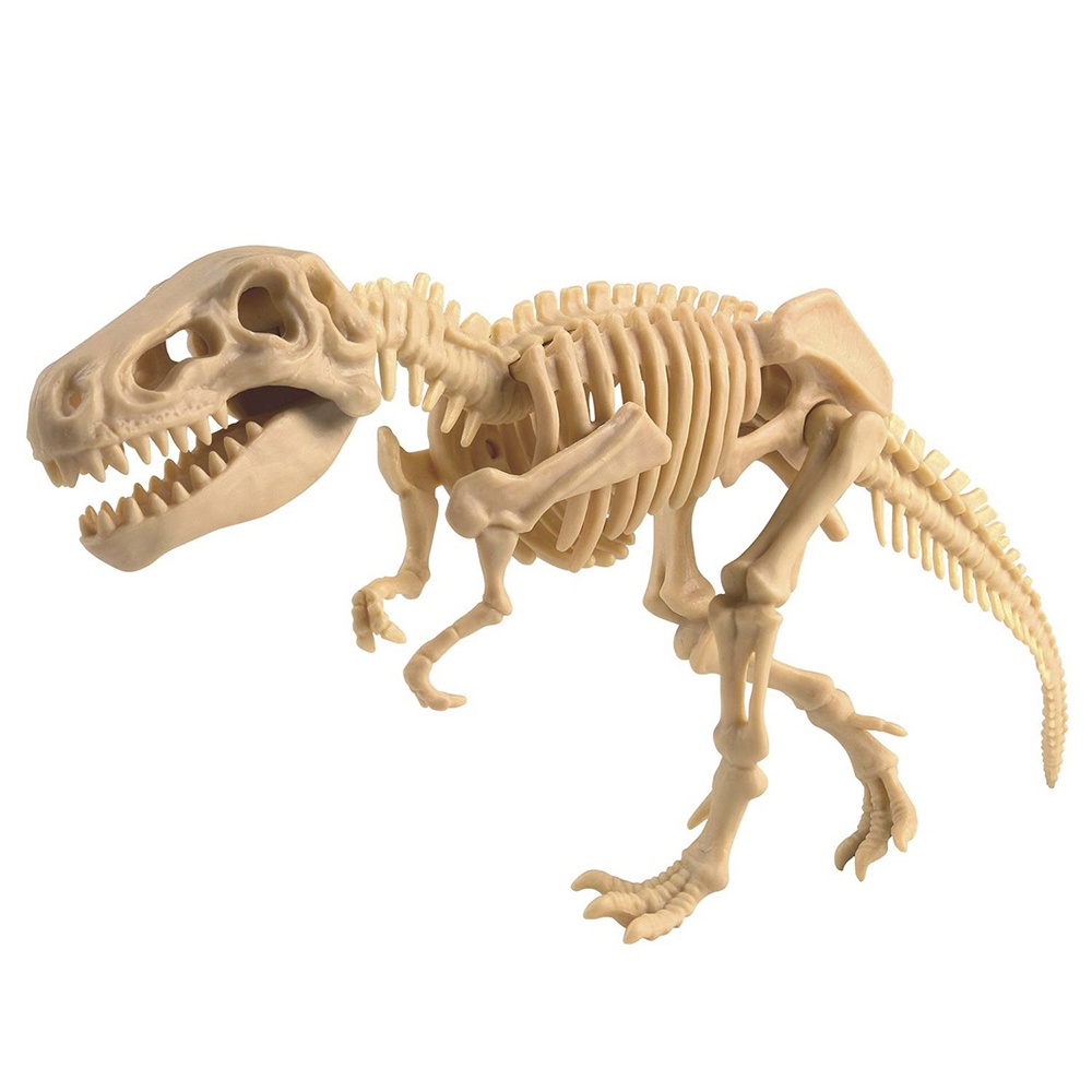 Tyrannosaurus Rex - Digit! -**