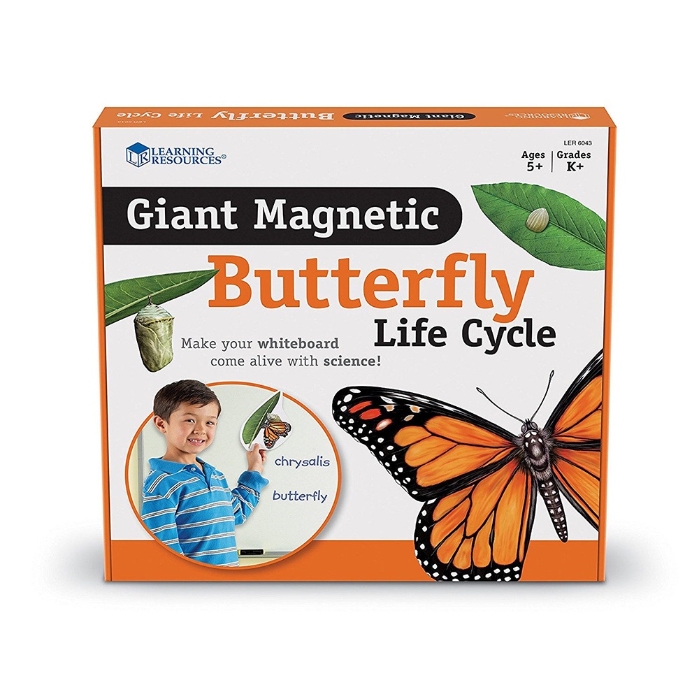Giant Magnetic Butterfly Life Cycle: Classroom Science Demo Set