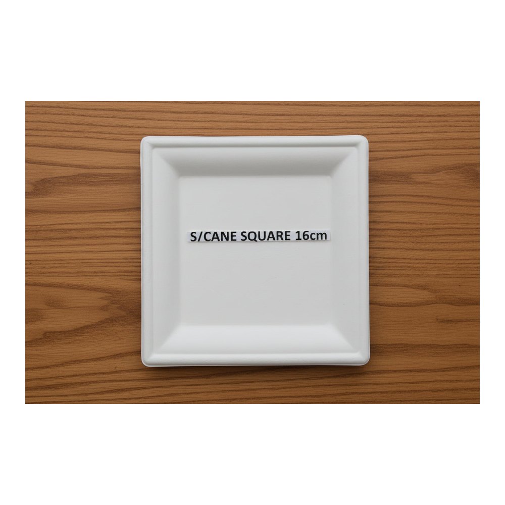 SUGAR CANE SQUARE PLATE 16cm (10) — 10 packs