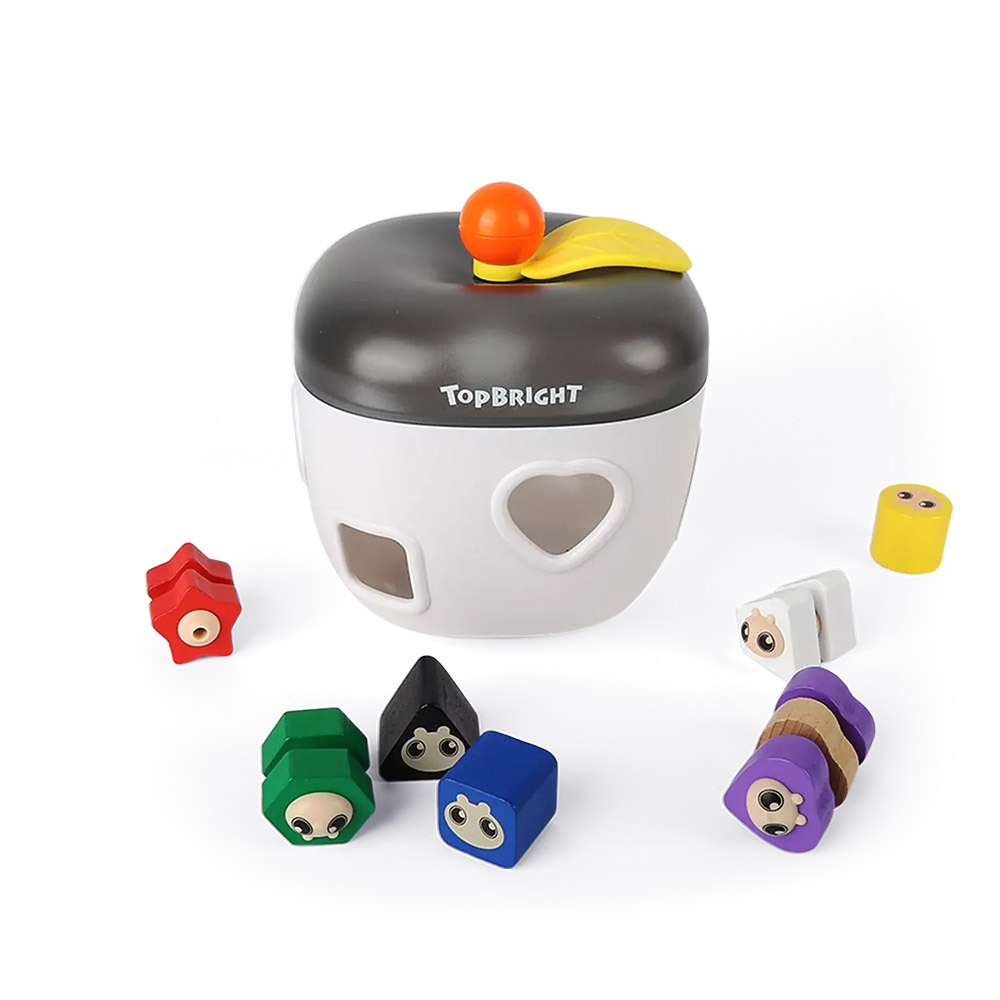 Activity Play Cube Shape Sorter Toy with Wooden Blocks