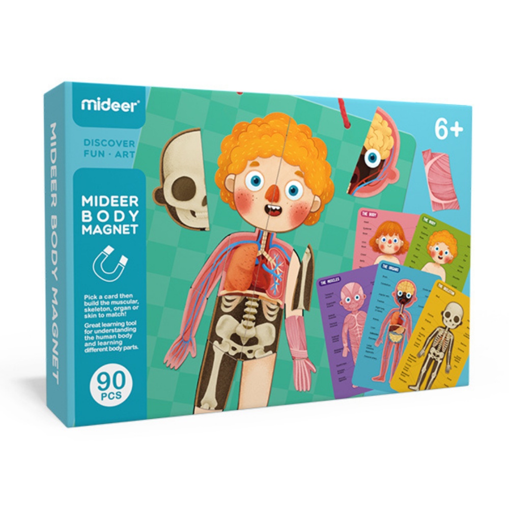 Mideer - Magnetic Body Puzzle - Kids Anatomy Learning Activity