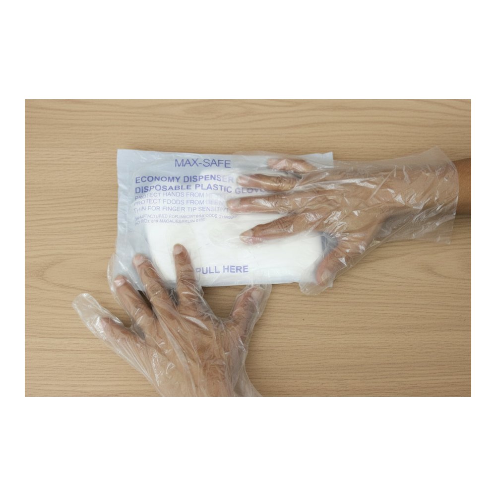 Plastic Gloves (100)