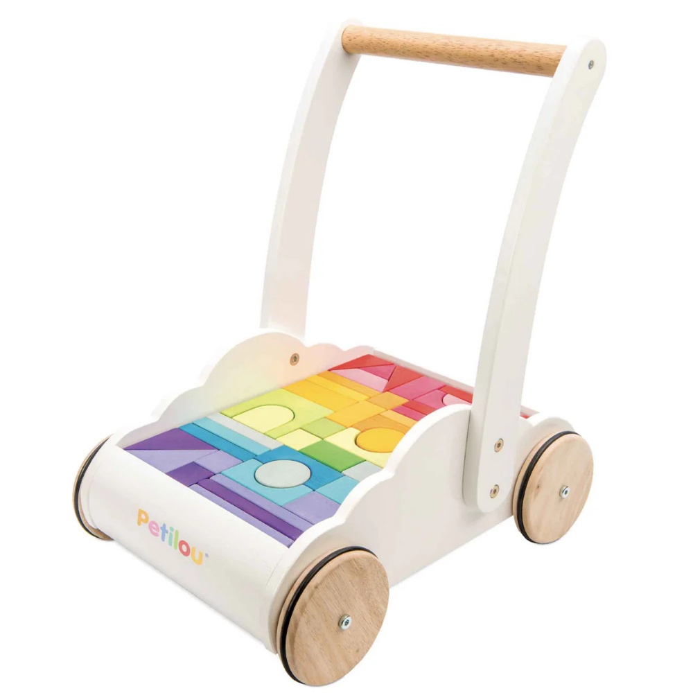 Rainbow Baby Walker & Wooden Blocks