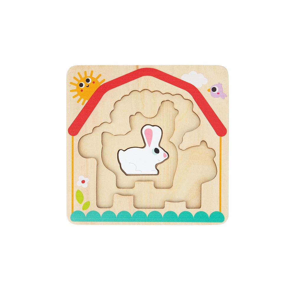 Multi-layered Wooden Puzzle