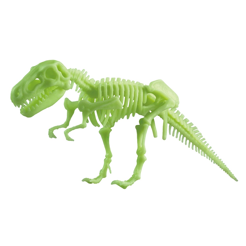 Glow in the Dark - Tyrannosaurus Rex Skeleton - 25cm